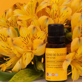 Blend de Óleos Bem Estar 15ml