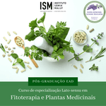 pos-graduacao-em-fitoterapia-e-plantas-medicinais-instituto-samia-maluf-by-samia-vtex